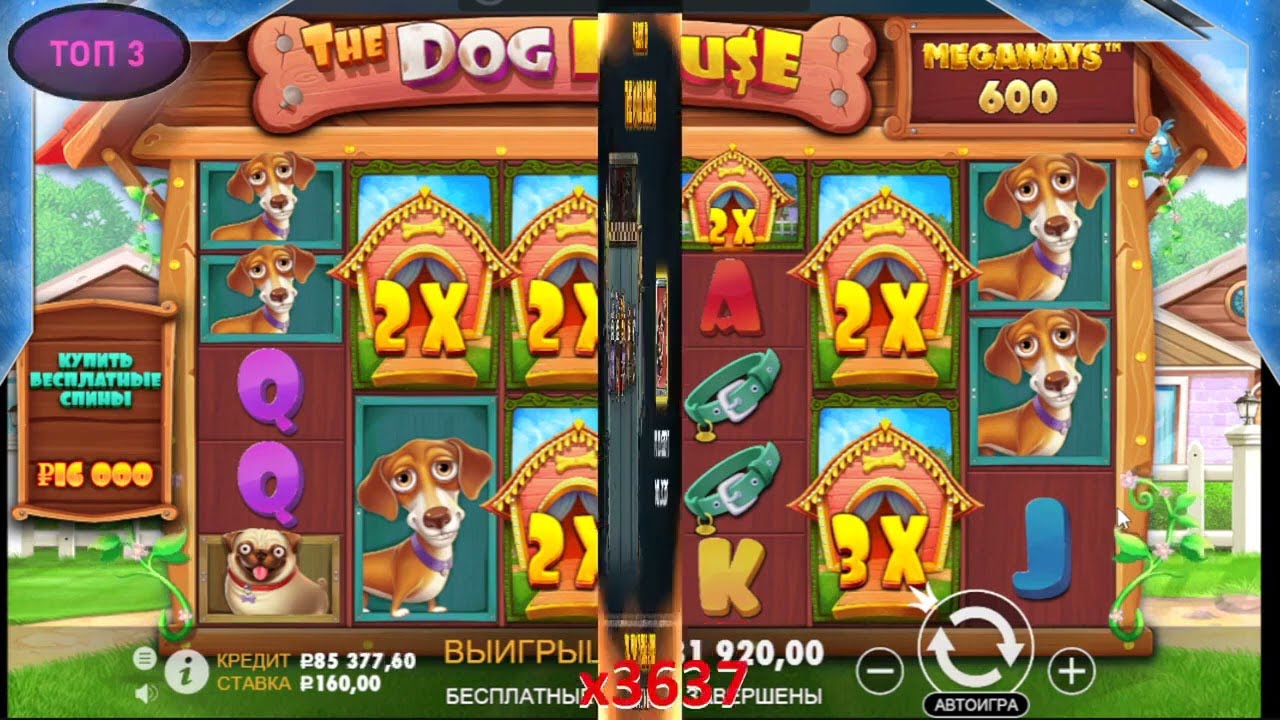 casino with sign up bonus no deposit,casino with a bonus for registration for withdrawal